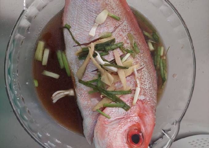 Langkah Mudah untuk Membuat Kakap merah tim kecap asin yang Menggugah Selera