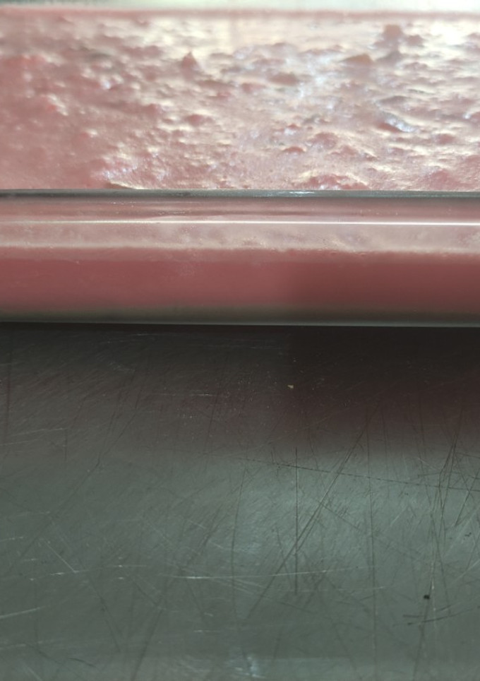 Una foto de Quisquey de gelatina