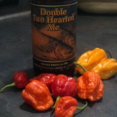 A picture of Double Trouble Double IPA hot sauce.