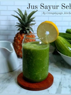 Foto resep Jus Sayur Sehat