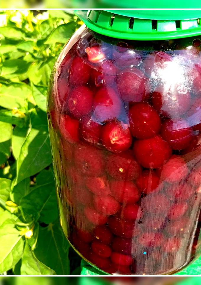Вишнівка на коньяку 🍒