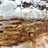 Torta Rogel