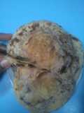 Roti Mariyam