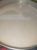 Bebida vegetal (avena)