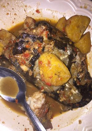 A picture of Catfish peppersoup and plantain.