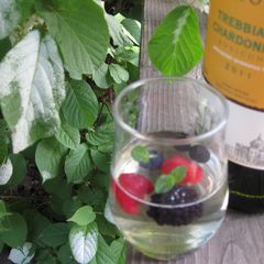 A picture of White Wine Jelly.