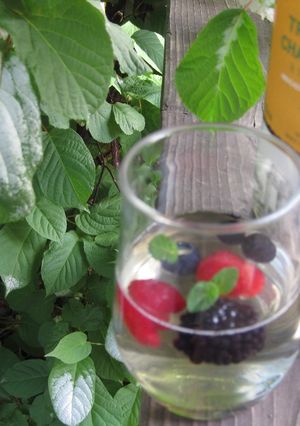 A picture of White Wine Jelly.