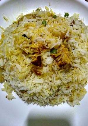 A picture of Pure vegetarian paneer biryani.