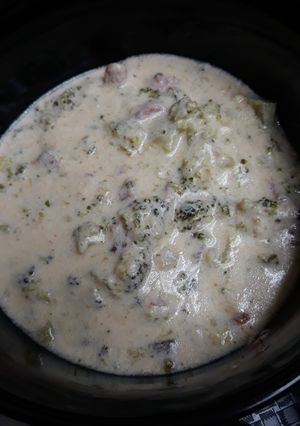 A picture of Broccoli and Ham Soup.