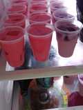 Gelatina de leche Carnation