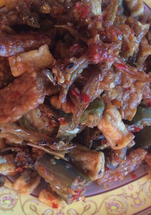 Foto resep Oseng Tempe Tahu Pedasss