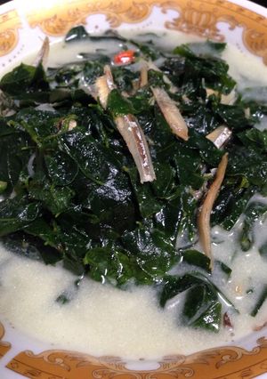 Foto resep Sayur pucuk katu