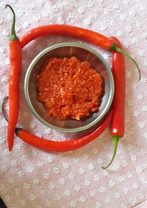 A picture of Red chilli chutney.