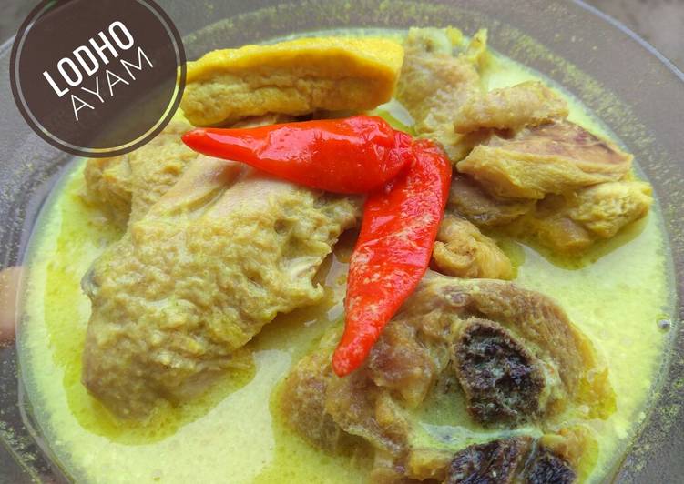 Langkah Mudah untuk Menyiapkan Lodho Ayam 🐔🐔🐔 yang Lezat Sekali
