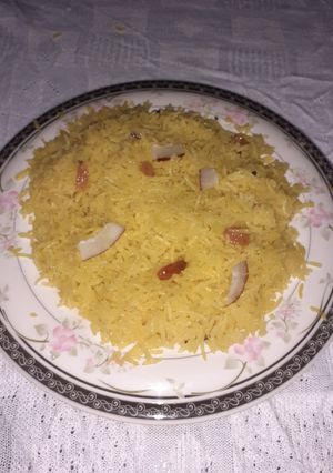 A picture of Zarda.