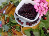 مارمالاد توت سیاه