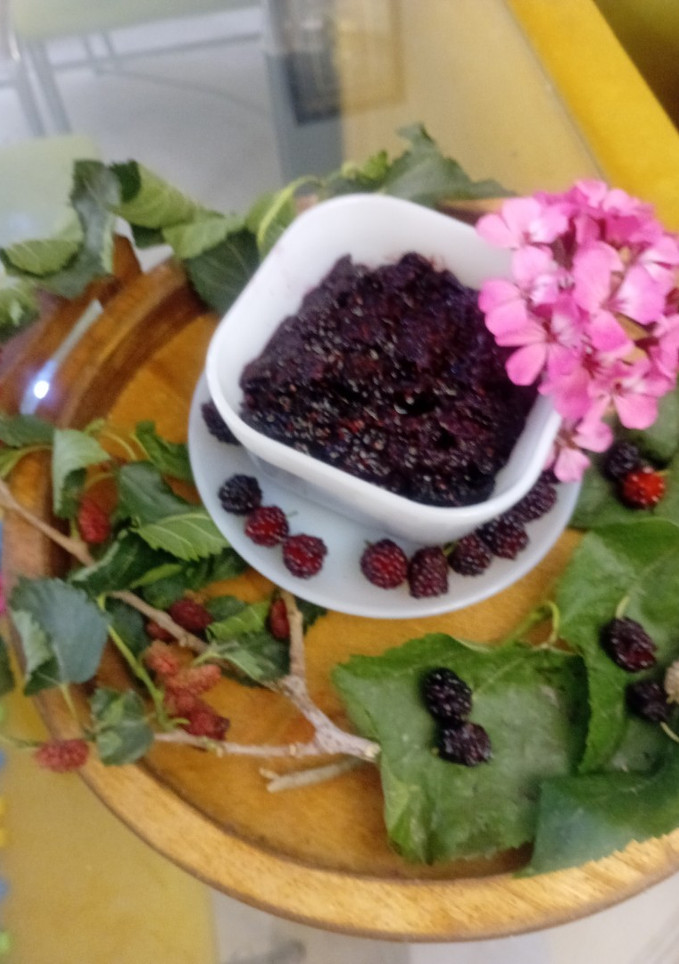 عکسی از دستور مارمالاد توت سیاه