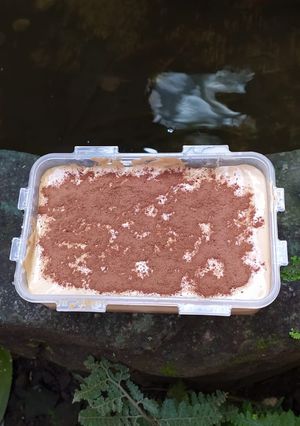 Foto resep Dalgona Coffee Puding