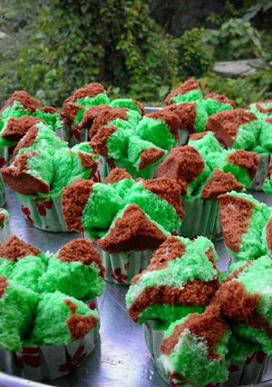 Foto resep Bolkus mekar pandan coklat