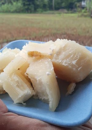Foto resep Singkong gurih