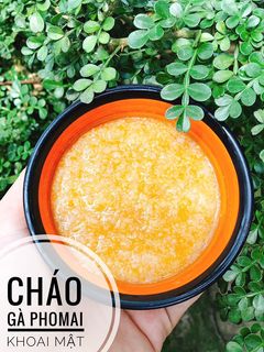 Hình của món Ăn dặm - Cháo gà phomai khoai mật.