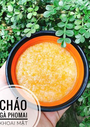 Hình của món Ăn dặm - Cháo gà phomai khoai mật.