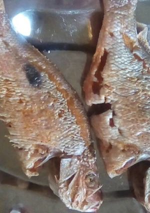 Hình của món Cá sốt cà chua.