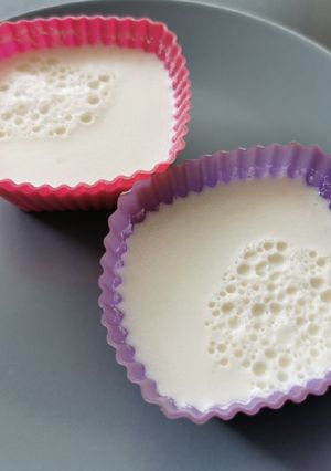 Une photo de Flan coco vanille pour bébé