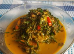 Foto resep Sayur pakis(kelakai)kuah santan