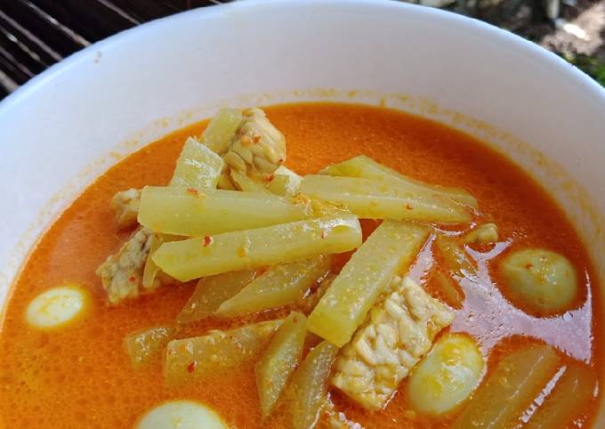 Bumbu Sayur Labusiam Dan Ceker - Resep Rahasia Sayur Lodeh Labu Siam