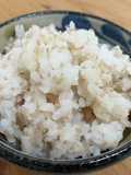 Shirataki Rice