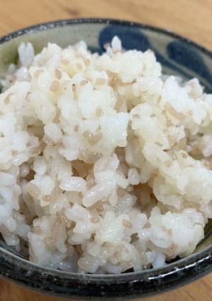 A picture of Shirataki Rice.