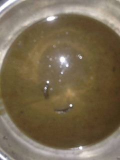 Una foto de Consomé de habichuelas negras para la anemia