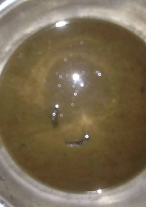 Una foto de Consomé de habichuelas negras para la anemia