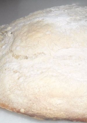 Una foto de Pan de poolish