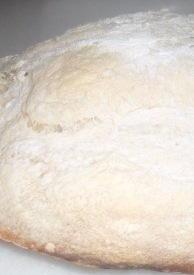 Una foto de Pan de poolish