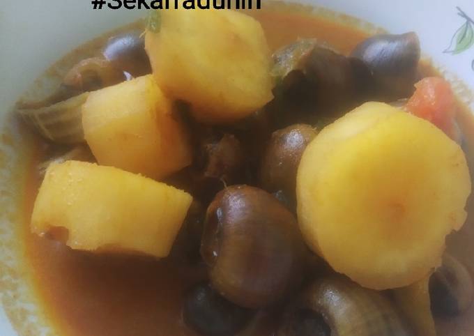 Gulai Begheku / tutut/ keong sawah