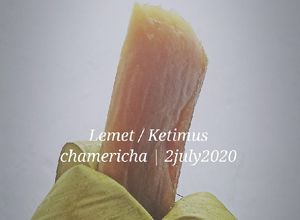 Foto resep 12. Lemet singkong / ketimus