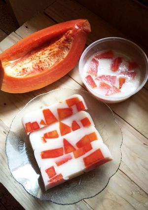 Foto resep Puding Susu Pepaya