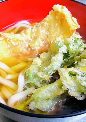A picture of Tempura Udon with Chikuwa and Nanohana (Spring Greens).