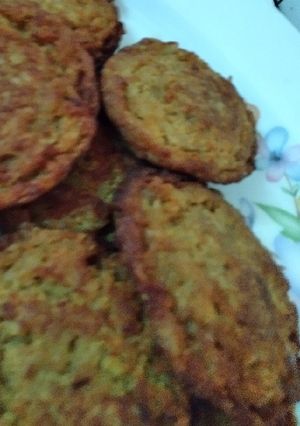 عکسی از دستور کتلت