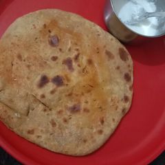 A picture of Spicy Paratha.