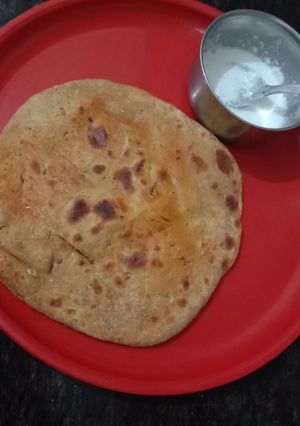 A picture of Spicy Paratha.