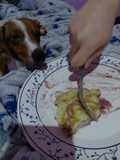 Panqueques sin tacc