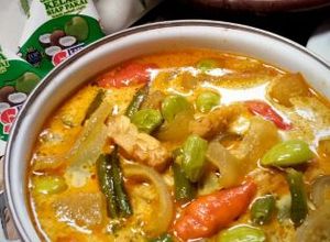 Foto resep Sayur Lodeh Campur Cecek