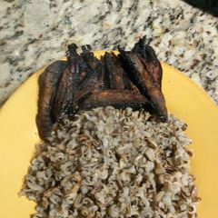 Bacon (mushroom) /Wild Rice A picture of Bacon (mushroom) /Wild Rice.
