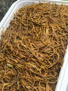 Brown spaghetti ainihin hoton girkin