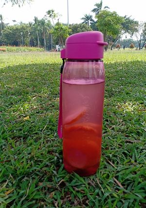 Foto resep Infused water