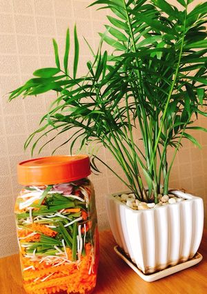 Hình của món Dưa giá chua ngọt.