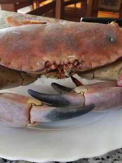 Una foto de Buey de mar cocido